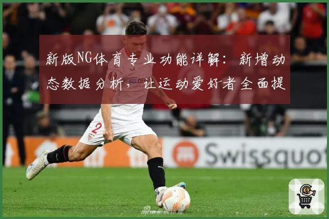 新版NG体育专业功能详解：新增动态数据分析，让运动爱好者全面提升竞技表现