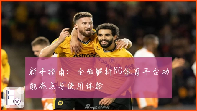 新手指南：全面解析NG体育平台功能亮点与使用体验