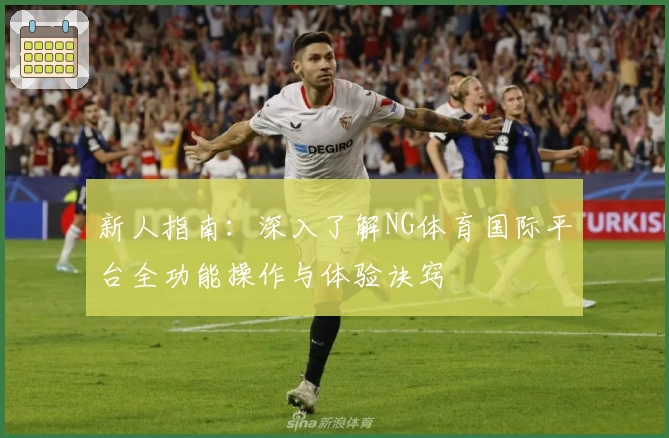 新人指南：深入了解NG体育国际平台全功能操作与体验诀窍