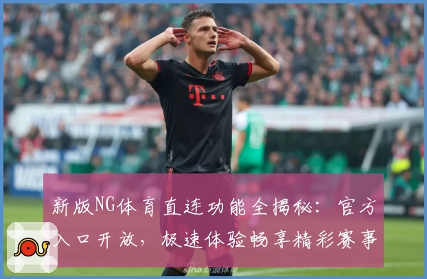 新版NG体育直连功能全揭秘：官方入口开放，极速体验畅享精彩赛事