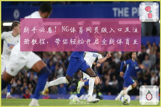 新手必看！NG体育网页版入口及注册教程，带你轻松开启全新体育互动体验