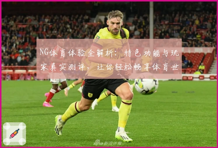 NG体育体验全解析:特色功能与玩家真实测评,让你轻松畅享体育世界