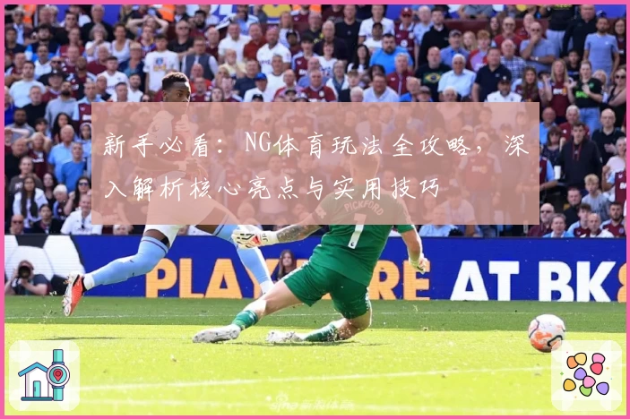 新手必看：NG体育玩法全攻略，深入解析核心亮点与实用技巧