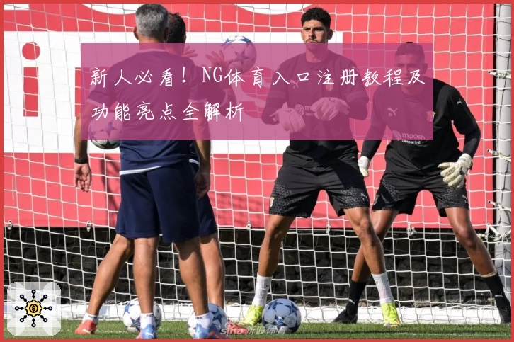 新人必看!NG体育入口注册教程及功能亮点全解析