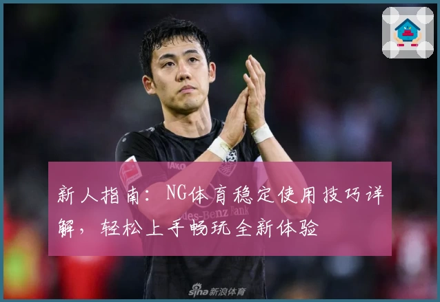 新人指南：NG体育稳定使用技巧详解，轻松上手畅玩全新体验
