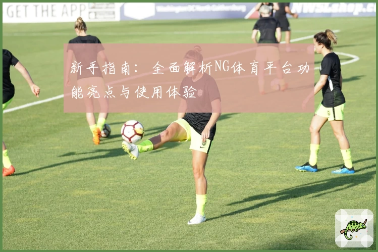 新手指南：全面解析NG体育平台功能亮点与使用体验