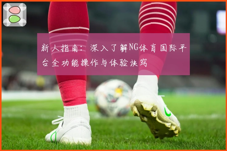 新人指南：深入了解NG体育国际平台全功能操作与体验诀窍